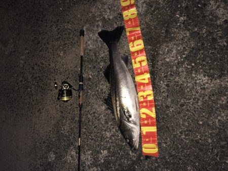 フィッシャーマンビレッジシーバス