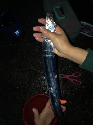 タチウオ　アジ　チヌ　おまけに石鯛？　最高…