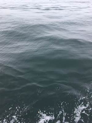 何とかオクトパッシングで坊主逃れ