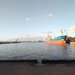 LSJ(ラストショアジギング)