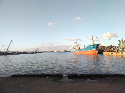 LSJ(ラストショアジギング)