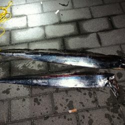 今シーズン最悪の釣果