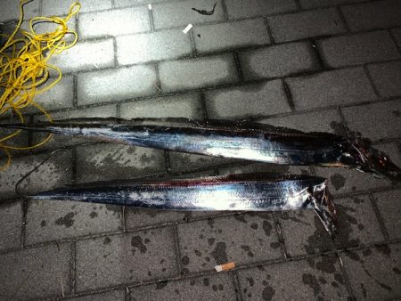 今シーズン最悪の釣果