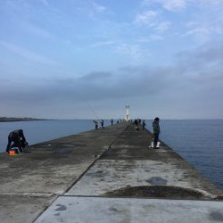 ショアジギング