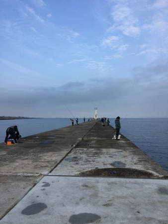 ショアジギング