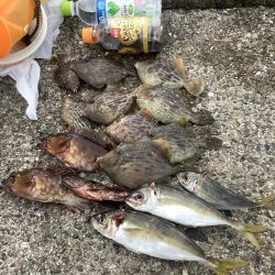 タチウオからカワハギ狙い