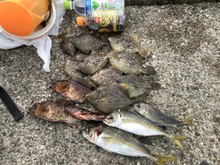 タチウオからカワハギ狙い