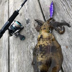 筏で試験釣行！