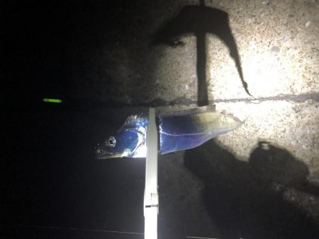 サイズダウン？