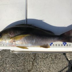 沖一文字でイサギ