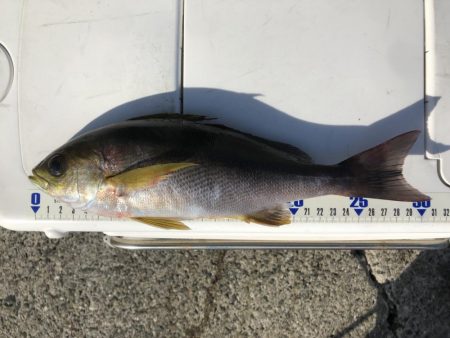 沖一文字でイサギ