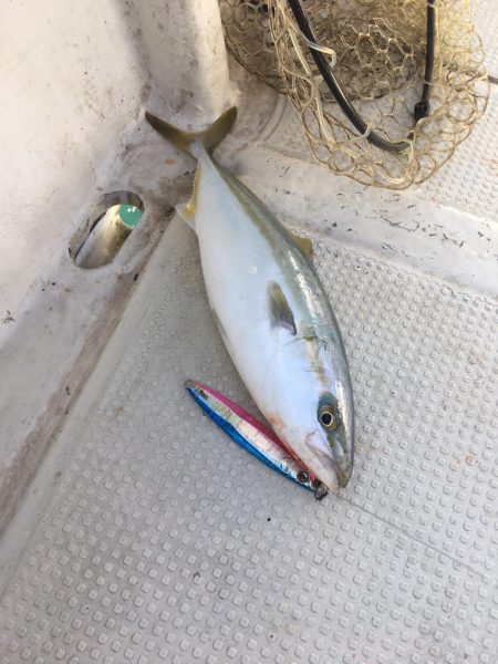 タイラバ&ジギング