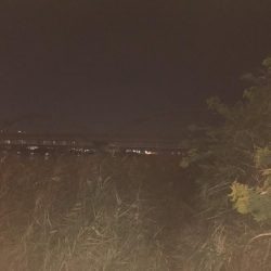 久しぶりの淀川河口でのキャスト