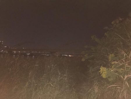 久しぶりの淀川河口でのキャスト