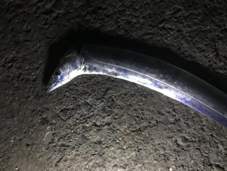 どこもかしこも渋い。