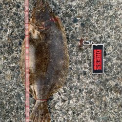 初めて使ったエサで!