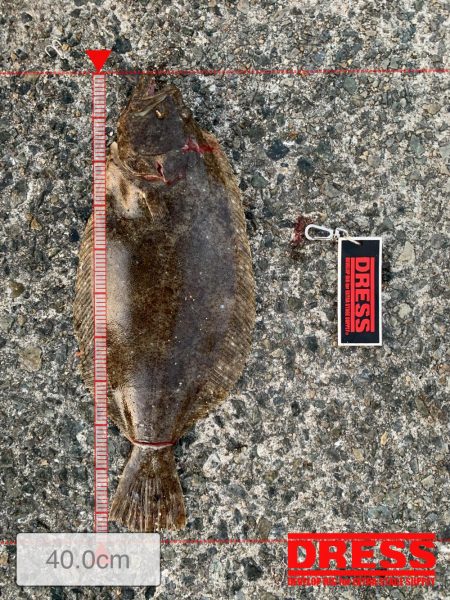 初めて使ったエサで!