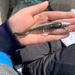 親子フィシング