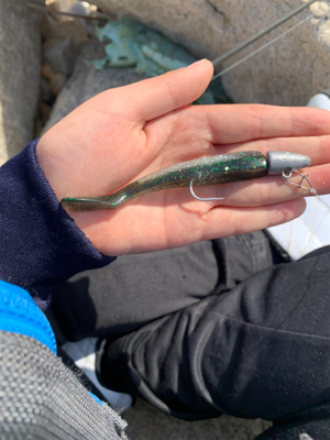 親子フィシング