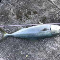 ブルーキング⁈