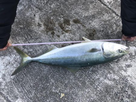 ブルーキング⁈