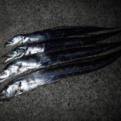 ドラゴンハントが効く！