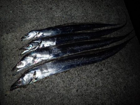 ドラゴンハントが効く！