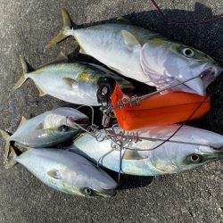 まずまずな釣果