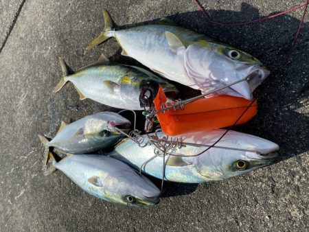 まずまずな釣果