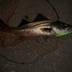 静かなる如意棒