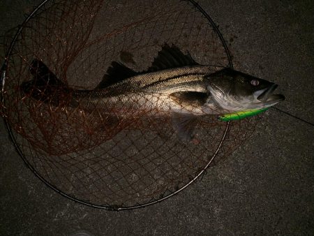 静かなる如意棒