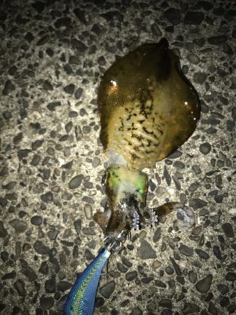 粘って何とか一杯