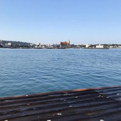 イカダのダンゴ釣り