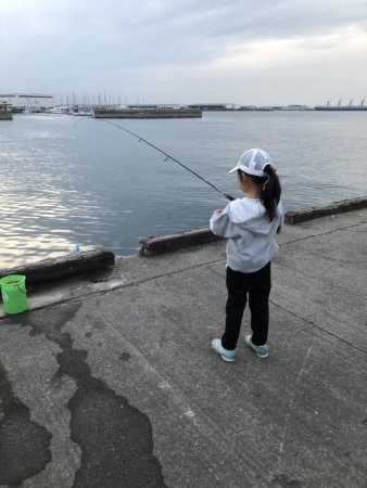 太刀魚、アジ