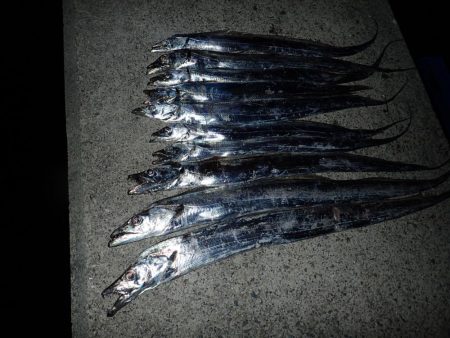 メーター超え×2匹