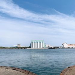 ショアジギング