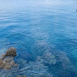 ライトゲーム、エギング