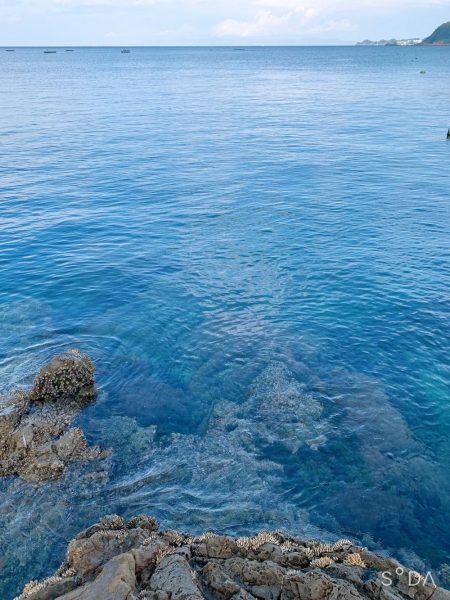 ライトゲーム、エギング