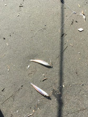 和田島T字付近でキス