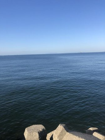 ぎりぎりハマチ