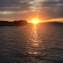 オセンでノマセ