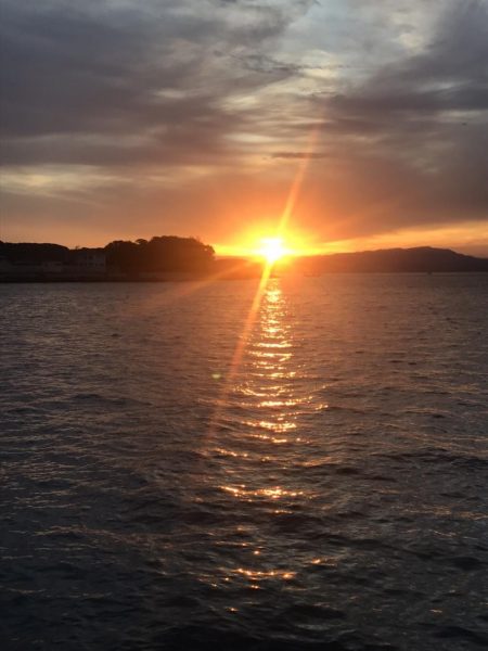 オセンでノマセ