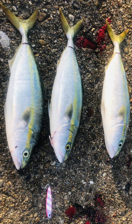 5バイト、3キャッチ