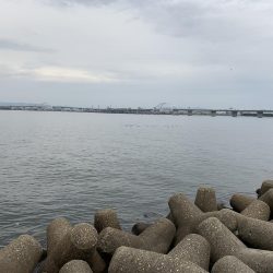 ミノーで勝負！