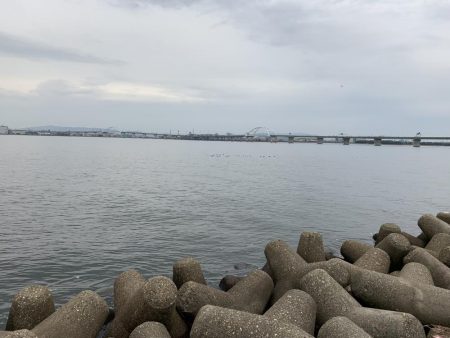 ミノーで勝負！