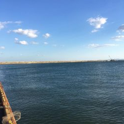 マリンピア太刀魚<釣り人