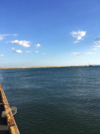 マリンピア太刀魚<釣り人