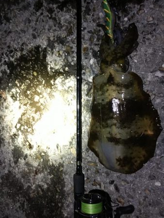 まさかの…！！