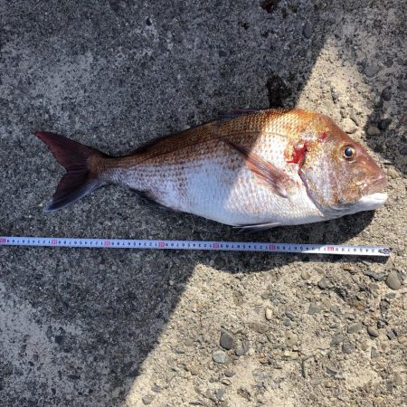 タイラバからのジギングにて