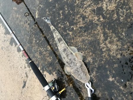 久しぶりの釣果